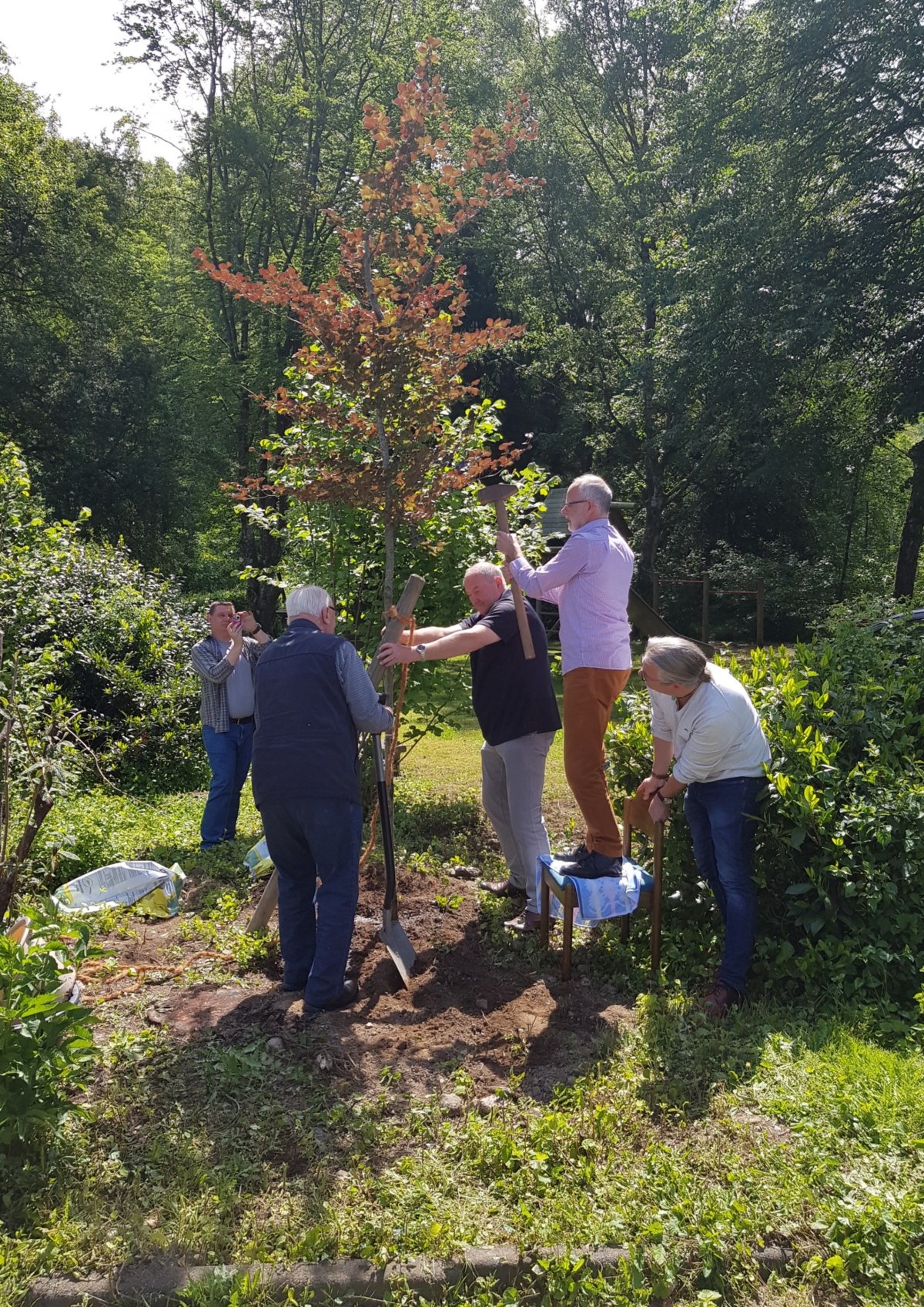 Ökumenischer Baum 9 Juni 2019